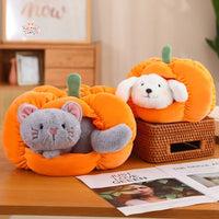 Lovely Cat Plush Toy Pumpkin Kawaii Toys