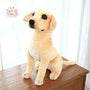 Like Real Simulation Labrador Dog Plush Doll Stuffed Golden Dog B Kawaii Toys