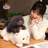 Cute Cat Plush Stuffed Animals British Shorthair Cat Fluffy Doll Kawaii Toys