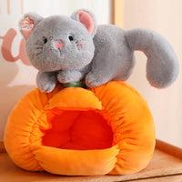 Lovely Cat Plush Toy Pumpkin Kawaii Toys