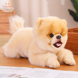 Cat Pillow Plush Toys Realistic Animal Puppet Cat Pomeranian Pet Pomeranian-40cm Kawaii Toys