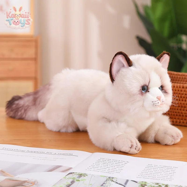 Cat Pillow Plush Toys Realistic Animal Puppet Cat Pomeranian Pet Puppet Cat-50cm Kawaii Toys