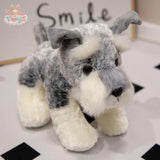 Simulation Cute Husky Dog Plush Toy Stuffed Animal Super High Quality Realistic Dog Toy Kawaii Toys